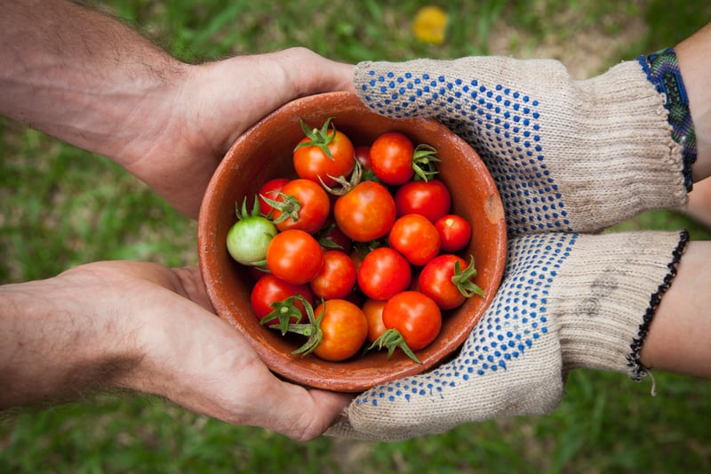 REWE Startup lädt nach erfolgreicher Testphase Landwirt:innen und Lebensmittelproduzent:innen zum Mitmachen ein