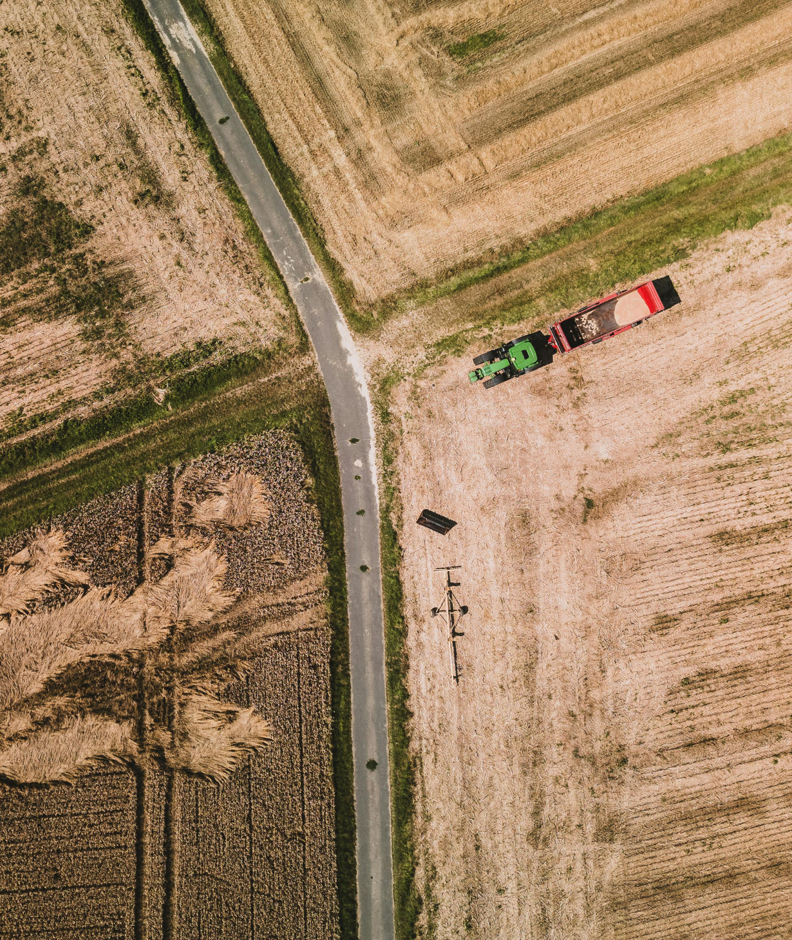 Regional statt anonym: Wie Erzeuger:innen mit Herkunftsgeschichten Kund:innen gewinnen