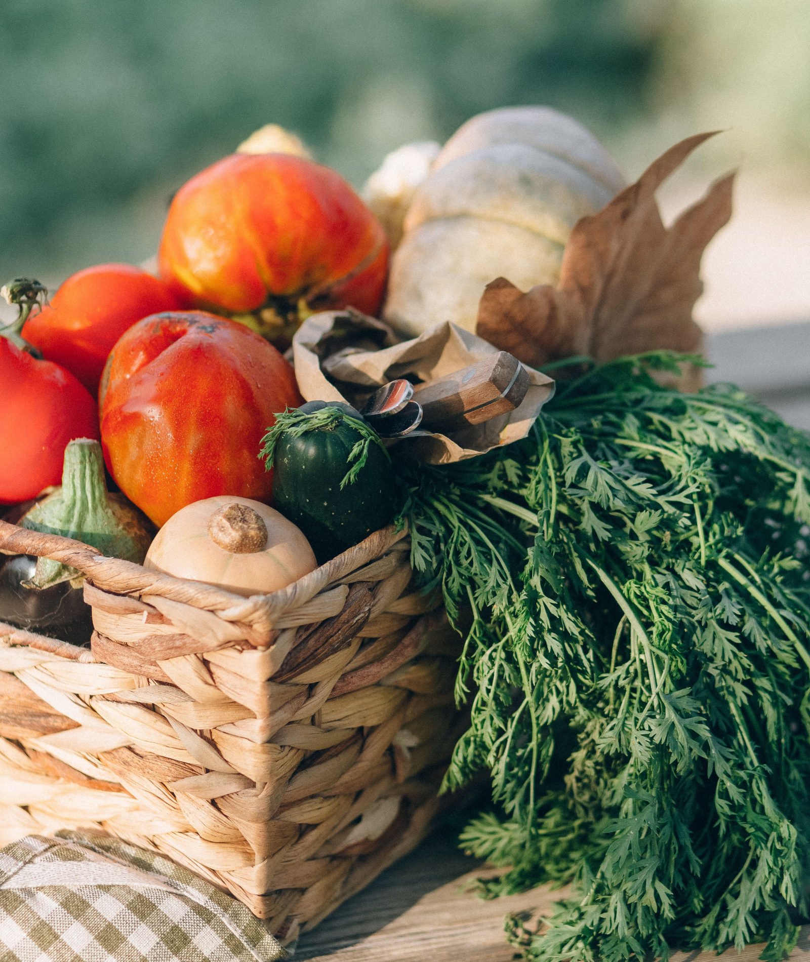 Loql im internationalen Podcast „Eat the System“: Wie regionale Lebensmittelversorgung skalierbar wird