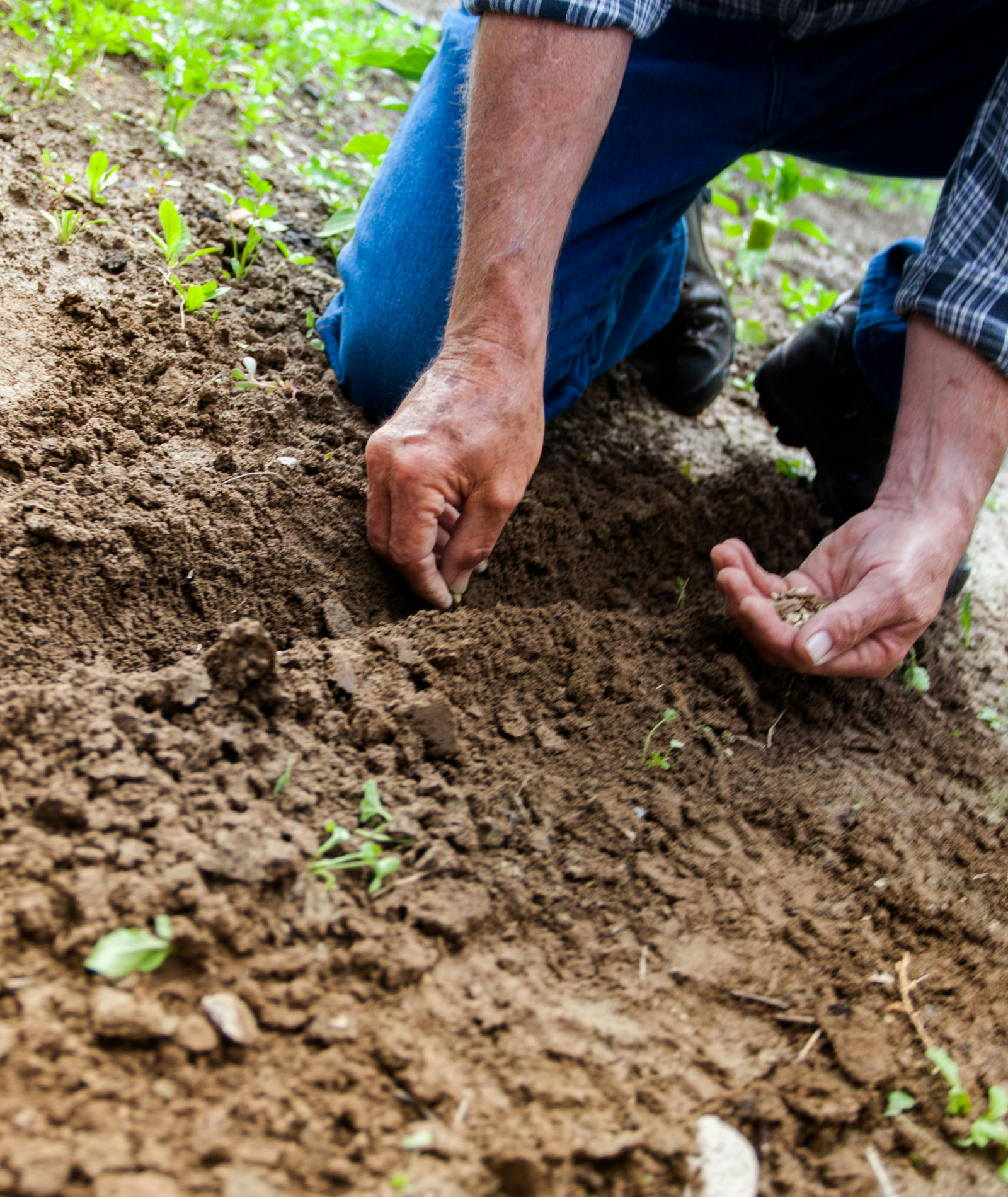 Lebensmitteltrends 2025: Regionalität und Lokalität als Zukunftsfokus