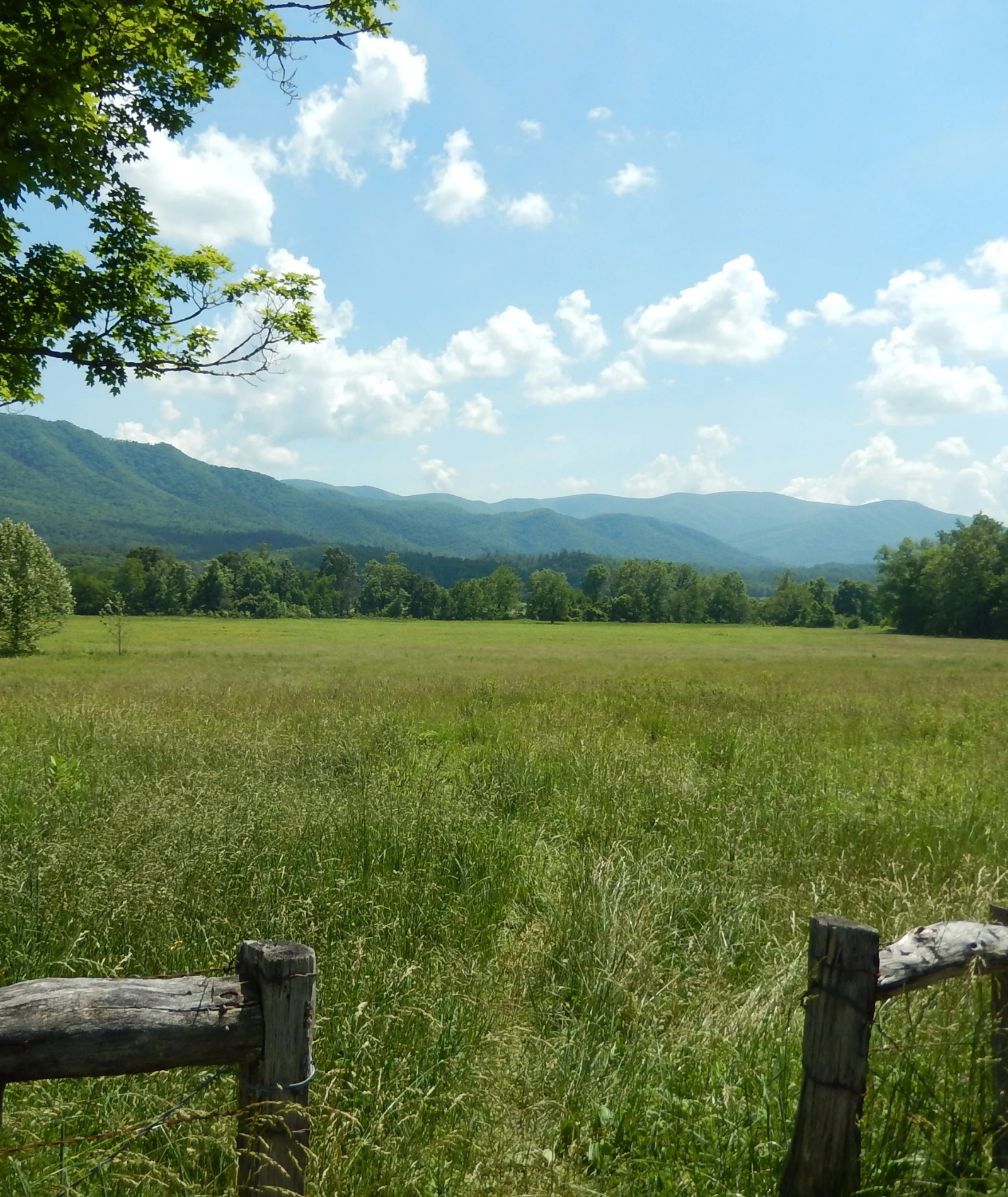 Von der Region auf den Teller: Eine Analyse des Ernährungsreports des BMEL 2022