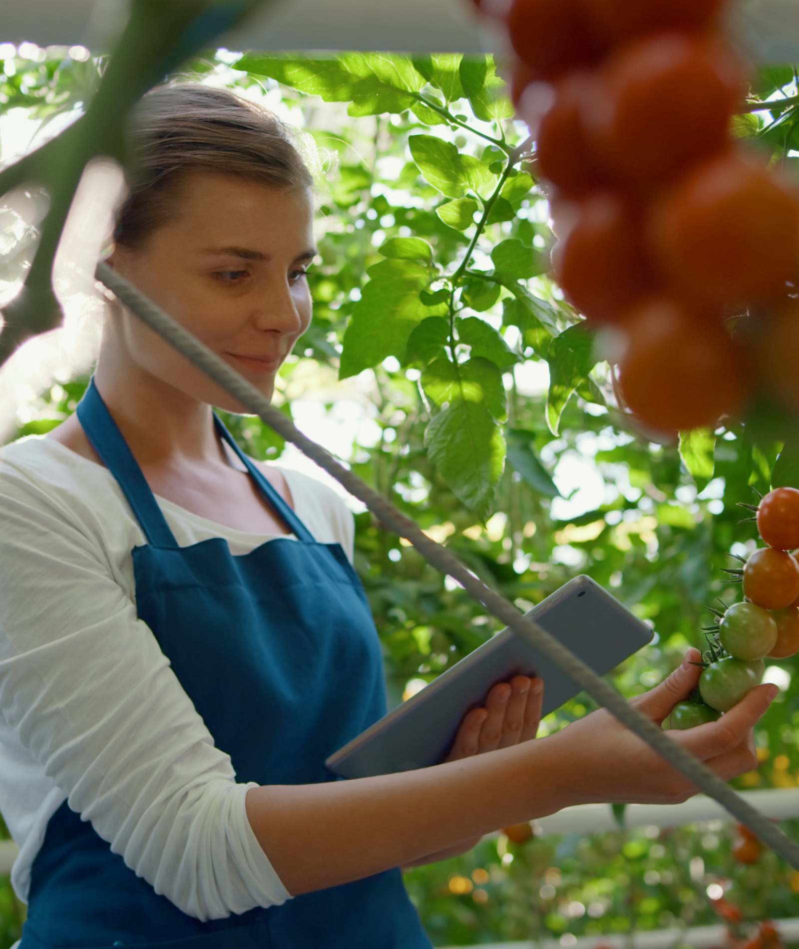Digitalisierung in der Landwirtschaft: Nachhaltigkeit, Effizienz und Chancen