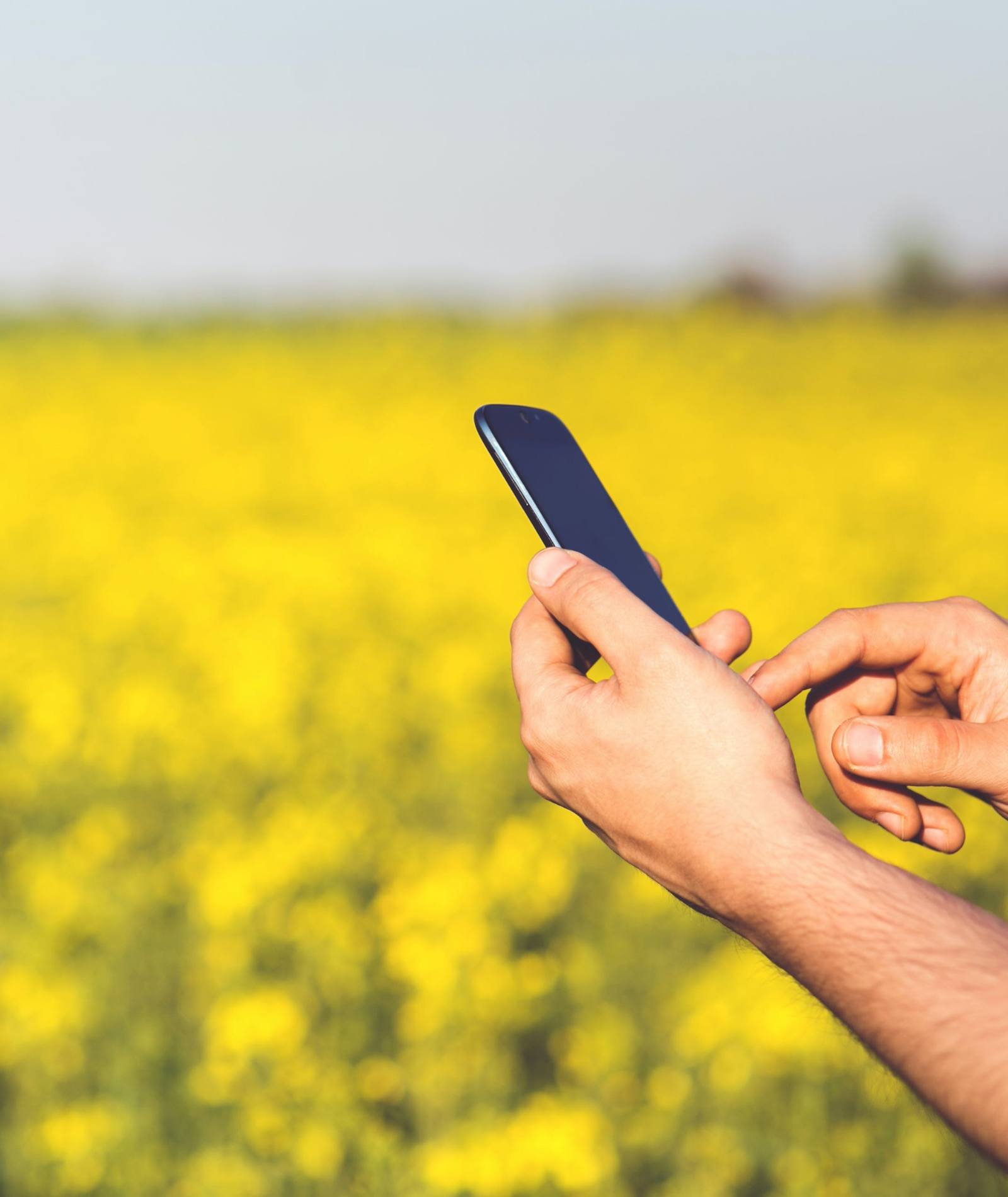 Technologie in der Lebensmittelbeschaffung: Wie kann Loql helfen?