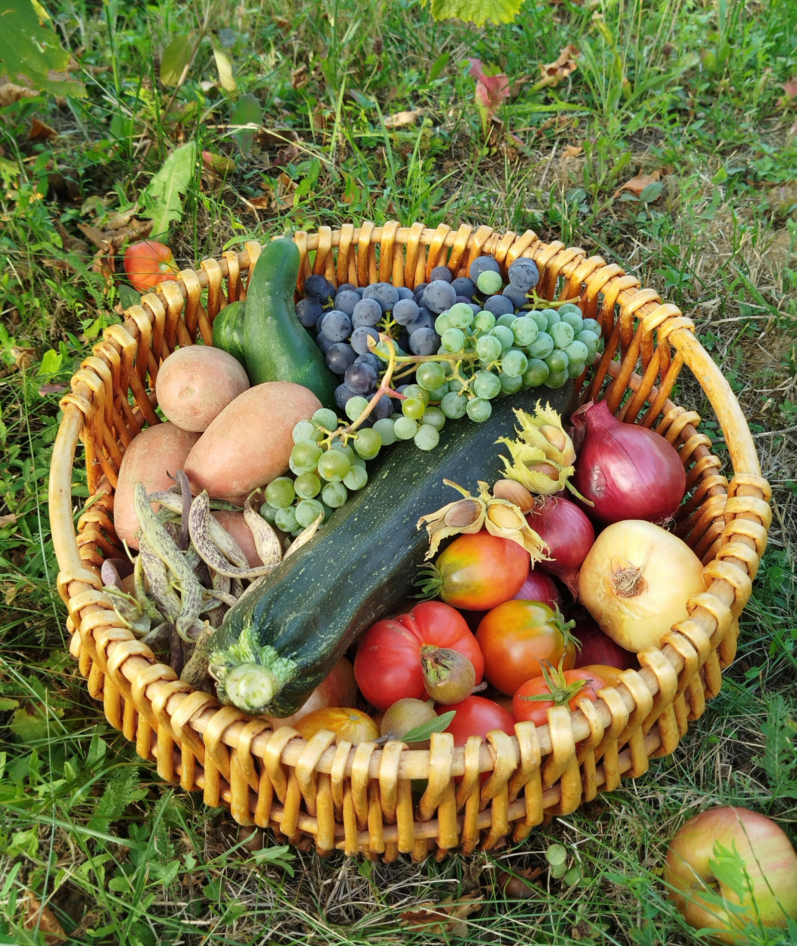 Warum regionale Lebensmittel immer beliebter werden und wie Du als Erzeuger:in davon profitierst