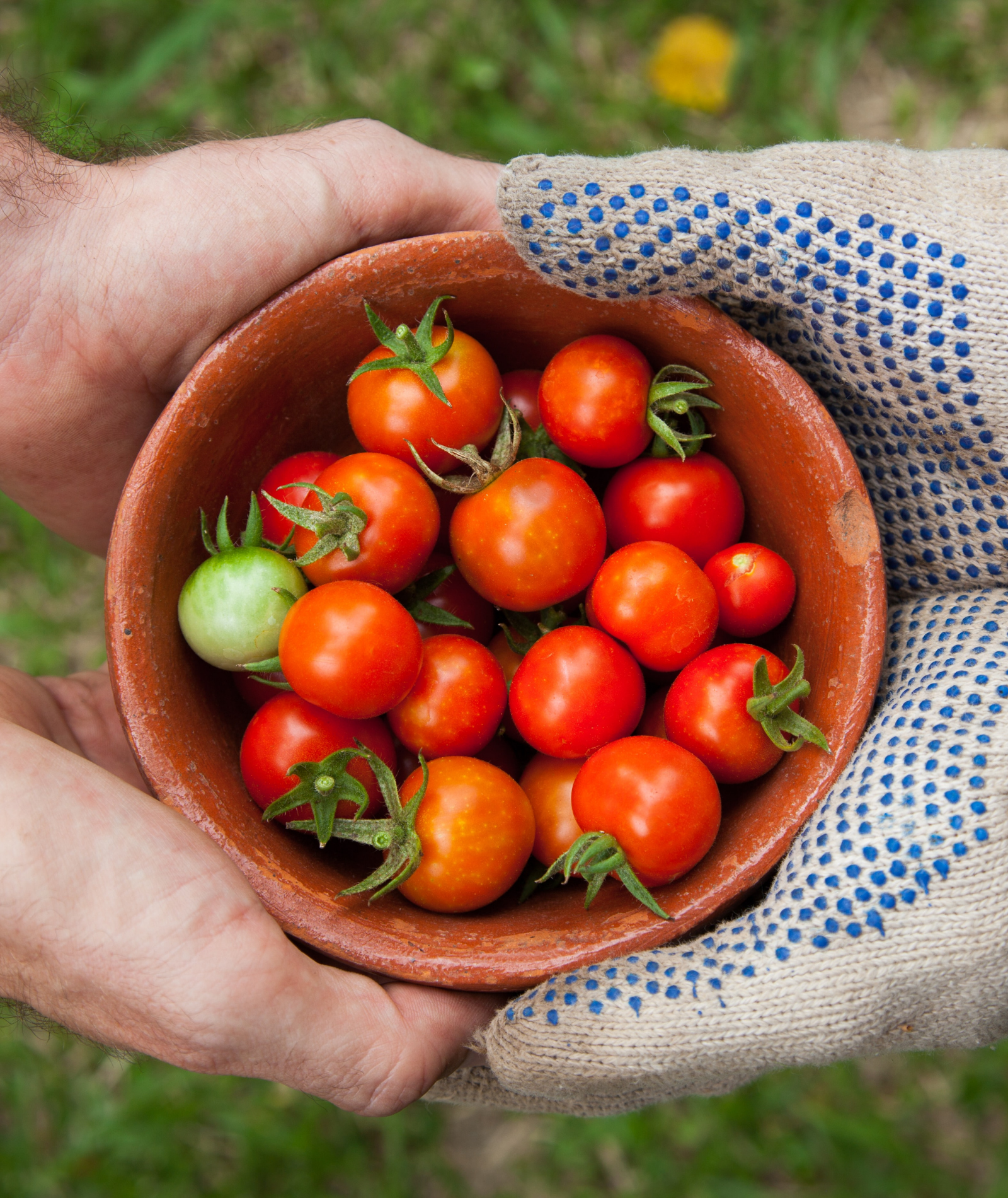 Die Bedeutung des natürlichen Rhythmus für unseren Speiseplan