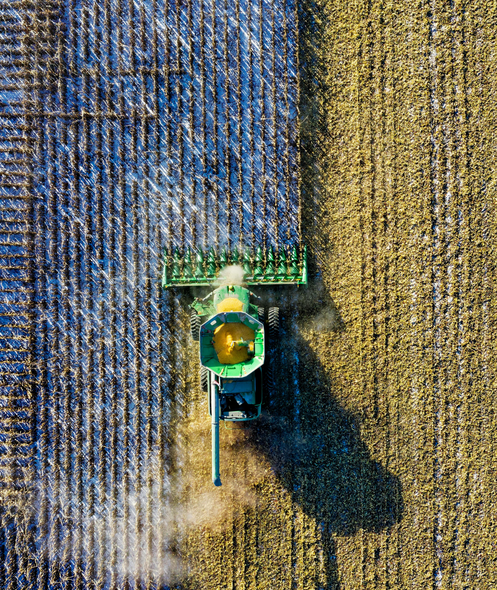 Saisonstart: Erfolgreich saisonale Produkte planen und bestellen