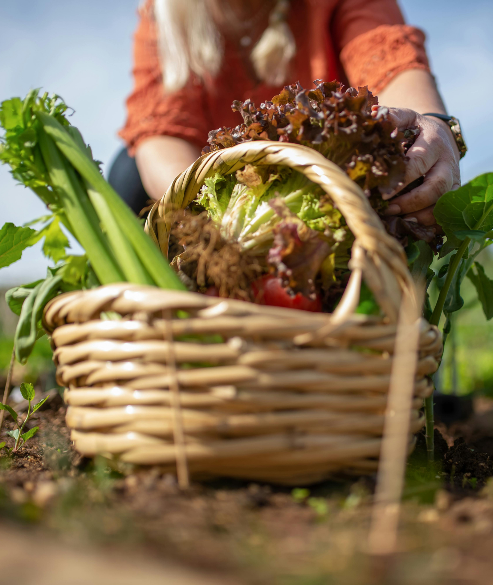 Kurze Lieferketten: Frische, regionale Lebensmittel direkt vom Erzeuger